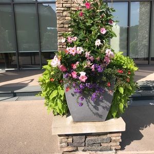 Meet your Posher, Missy